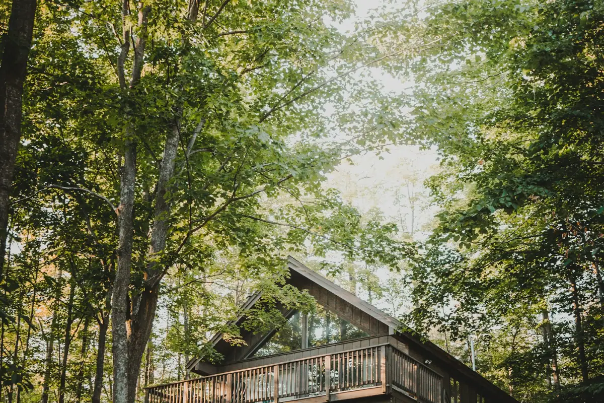 Two-story wooden cabin surrounded by trees in the forest