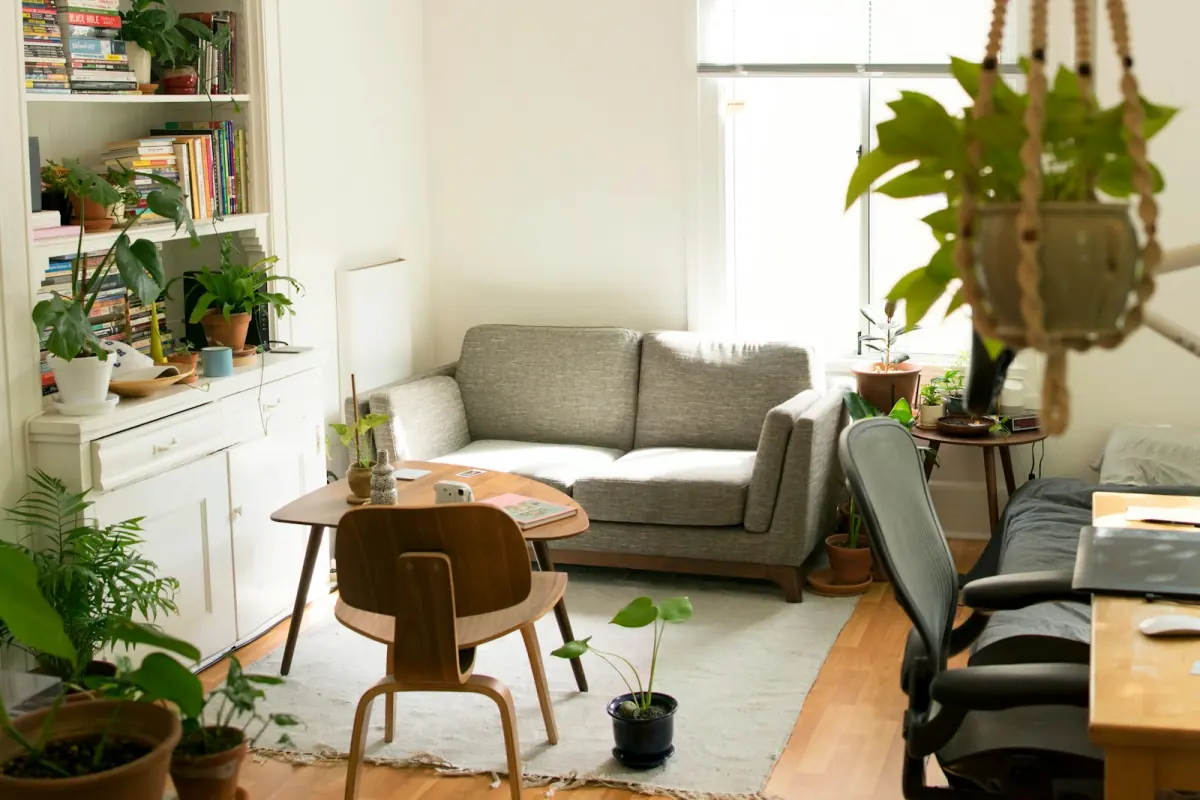 Bright studio with a sofa, desk, bookshelf and plants
